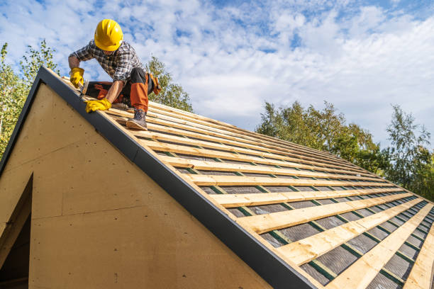 Best Storm Damage Roof Repair  in Holly Springs, GA